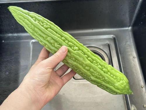 夏天吃蓝瓜好不好呢视频,蓝瓜的食用益处解析