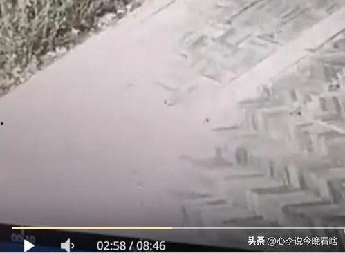 王湾桥吃瓜视频,揭秘网络热点背后的真相