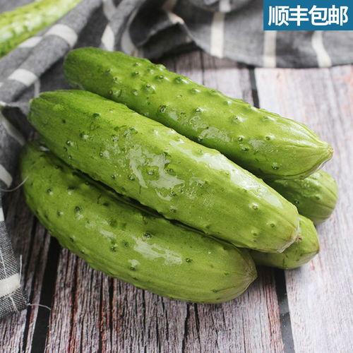 东北吃瓜视频大全,盘点全网热门吃瓜视频大全