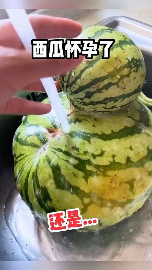 东北吃瓜视频大全,盘点全网热门吃瓜视频大全