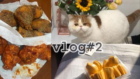 蜜瓜小猫咪可以吃吗视频,揭秘猫咪能否享用甜蜜美味
