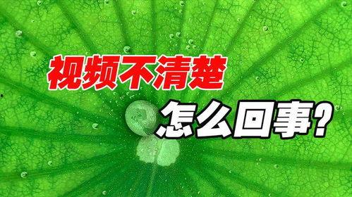 抖音吃瓜的搞笑视频大全,笑料横飞，欢乐无限