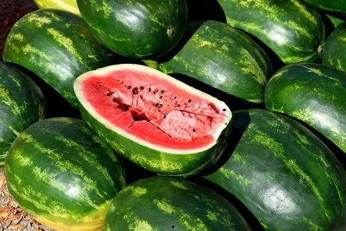 西昌吃瓜真实视频下载,一幕幕真实视频背后的故事