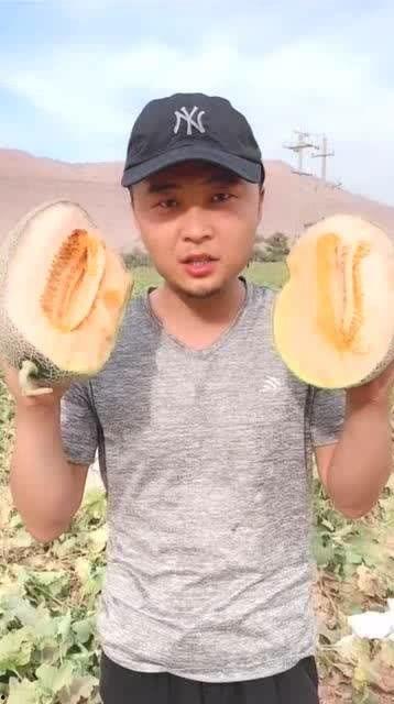 垃圾哥吃哈密瓜视频,趣味横生美食之旅