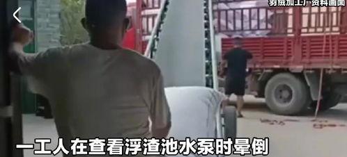 河北化工吃瓜事件真相视频,真相视频曝光背后的惊人内幕