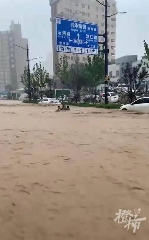 下大雨吃瓜视频,吃瓜群众围观奇观