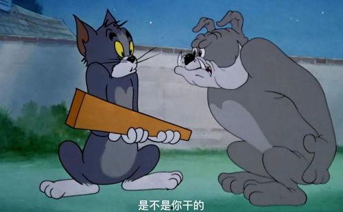 恶作剧老鼠吃瓜视频下载,萌宠搞笑瞬间，网友直呼“太可爱了！”
