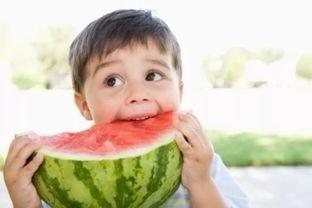 湖北小孩吃瓜视频播放全集,一场童真与美食的欢乐盛宴