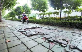 昆明人行道吃瓜视频,街头一幕引发热议