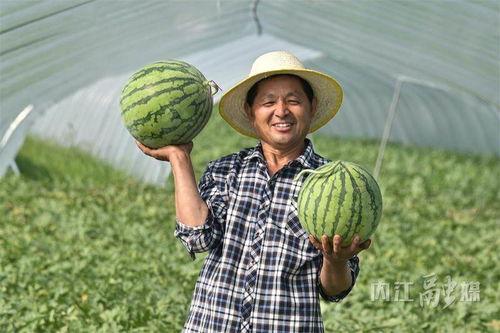 潮州北堤吃瓜事件视频,一场引发热议的街头冲突