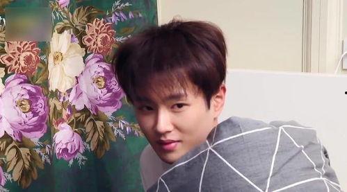 吃瓜直播间范丞丞视频,揭秘娱乐圈幕后故事