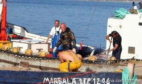 老外捕鱼吃瓜视频,一边捕鱼一边吃瓜，生活如此惬意