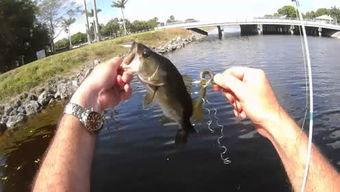 老外捕鱼吃瓜视频,一边捕鱼一边吃瓜，生活如此惬意