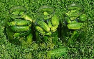 炒瓜吃中毒视频播放大全,警惕食品安全隐患