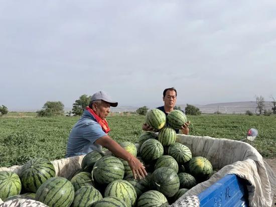 邢台吃瓜视频从哪看,揭秘本地热门事件背后的真相