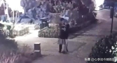 武汉半夜吃瓜事件视频,一场突如其来的网络热议