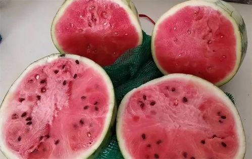 黑色的麒麟瓜可以吃吗视频,揭秘其食用安全与美味之谜