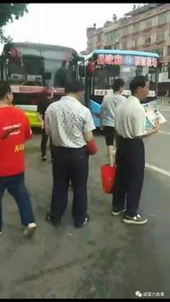 亲吻版的吃瓜群众视频,甜蜜瞬间！亲吻版吃瓜群众视频走红网络