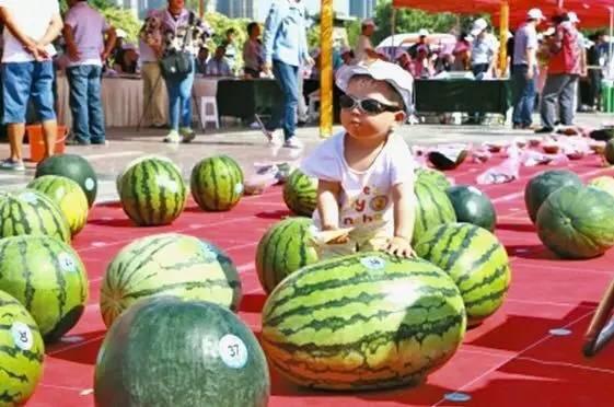 河南师范吃瓜视频,揭秘校园生活趣味瞬间