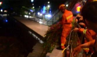 大爷吃瓜然后跳桥了视频,大爷吃瓜不慎坠桥，网友热议安全意识