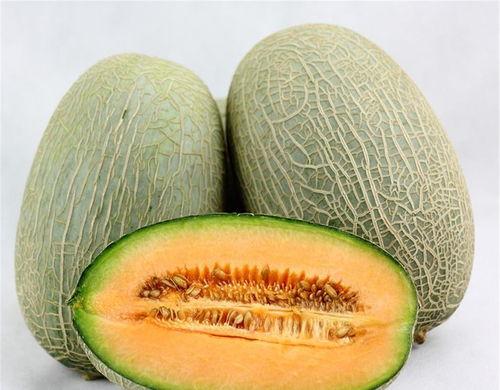 芭比吃哈密瓜视频大全,甜蜜时光的欢乐瞬间