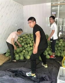 常州事件吃瓜视频,网络热议背后的真相与反思