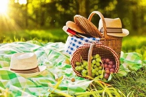 野餐兔网红吃瓜视频大全,笑料百出欢乐无限