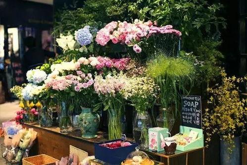 白沟花店吃瓜视频大全集,揭秘花店里的欢乐时光