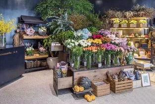 白沟花店吃瓜视频大全集,揭秘花店里的欢乐时光