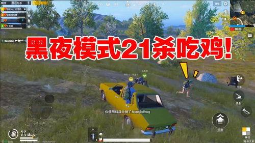 吃鸡视频瓜,揭秘热门游戏背后的精彩故事