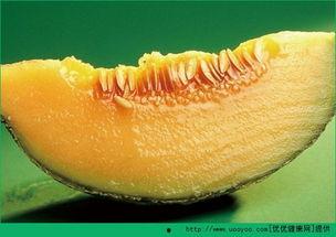 啥时候吃哈密瓜最好呢视频,哈密瓜最佳食用时间揭秘