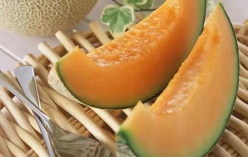 啥时候吃哈密瓜最好呢视频,哈密瓜最佳食用时间揭秘